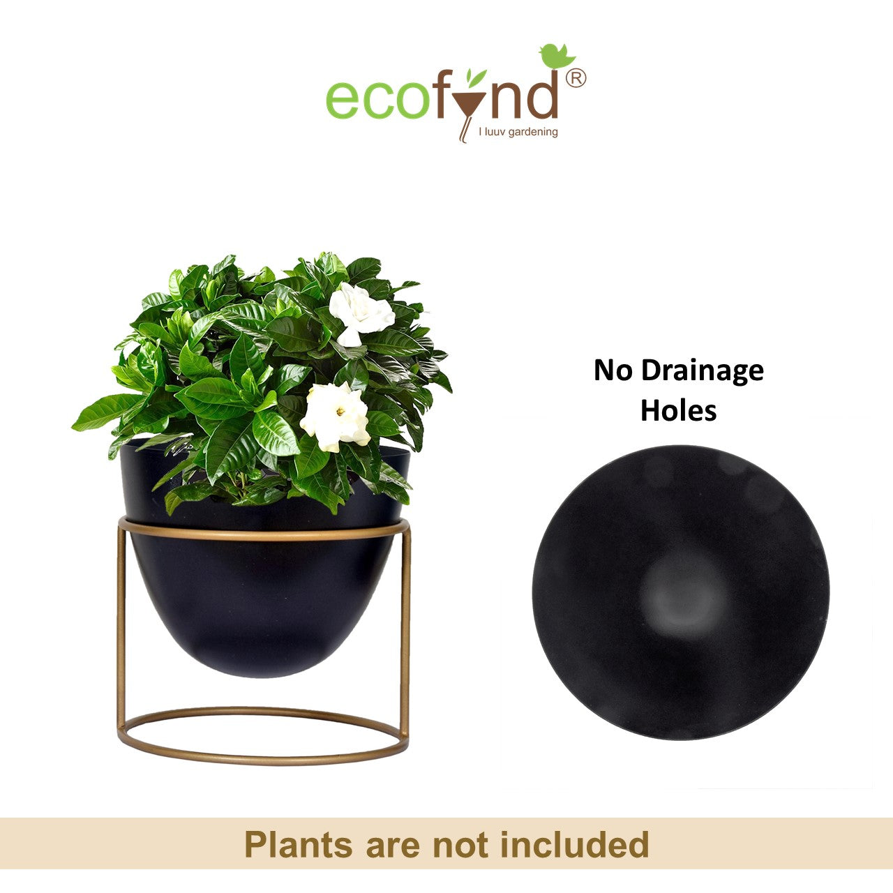 Eva Gold Metal Plant Pot with Stand (Set of 2)